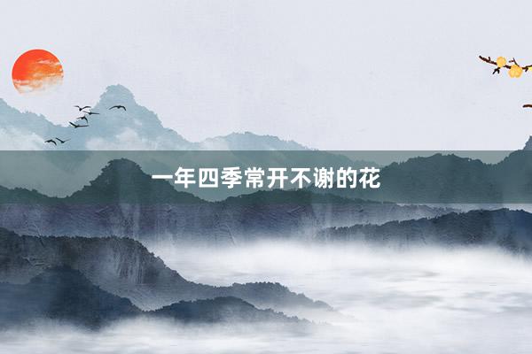 一年四季常开不谢的花