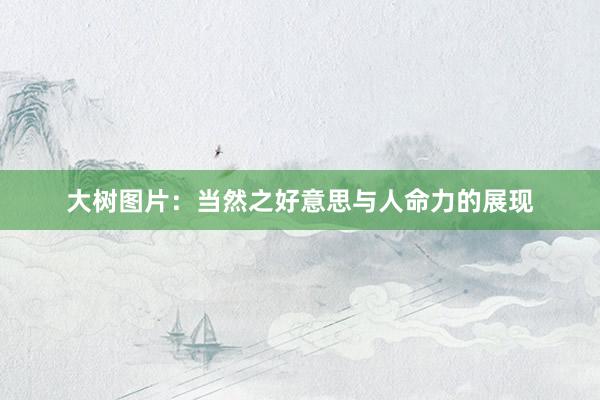 大树图片：当然之好意思与人命力的展现