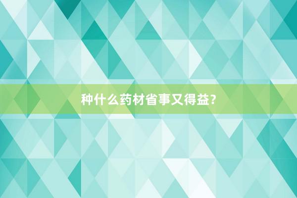 种什么药材省事又得益？