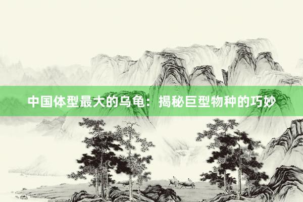 中国体型最大的乌龟：揭秘巨型物种的巧妙